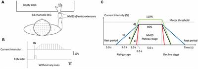 Current Change Rate Influences Sensorimotor Cortical Excitability During Neuromuscular Electrical Stimulation